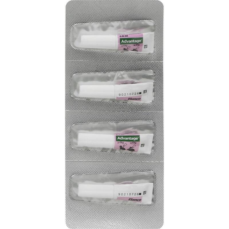 ADVANTAGE 80 mg f.gr.Katzen u.gr.Zierkaninchen