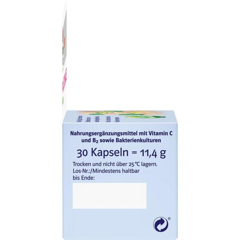 DOPPELHERZ Pro Lacto Balance system Kapseln